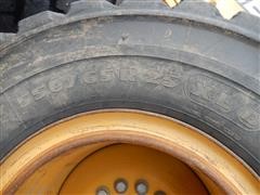 DSCN1482.JPG
