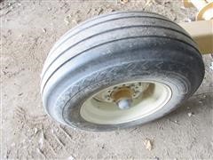 IMG_5893.JPG