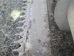 IMG_1578.JPG