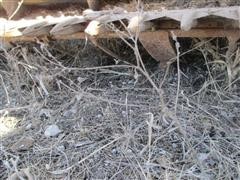 IMG_1579.JPG