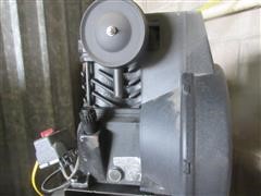 IMG_5384.JPG