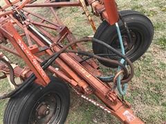 IMG_5626.JPG