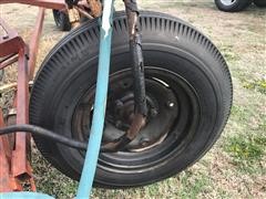 IMG_5629.JPG