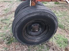 IMG_5631.JPG