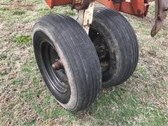 IMG_5635.JPG
