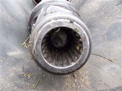 DSCN2978.JPG