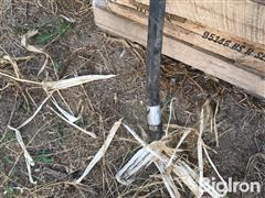 IMG_2786.jpeg