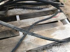 IMG_2781.jpeg