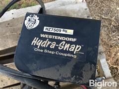IMG_2803.jpeg