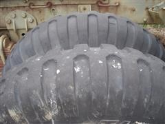 DSCN4121.JPG