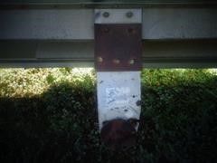 DSC03501.JPG