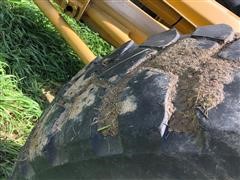 IMG_5211.jpg