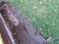 Michaelis 9-26-18 017.JPG