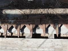 DSCN0226.JPG