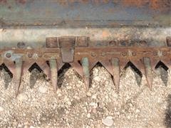 DSCN0227.JPG