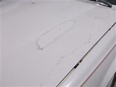 DSCF2337.JPG