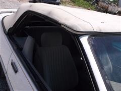 DSCF2342.JPG