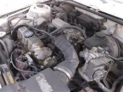 DSCF2349.JPG