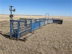 Sydell Sheep Working Tub, System & Scale 