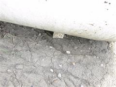 IMG_4392.JPG