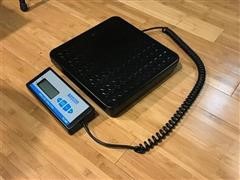 Portable Bench Scale 