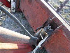 DSCF1678.JPG