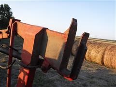 DSCF1689.JPG