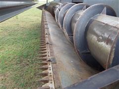 IMGP0675.JPG