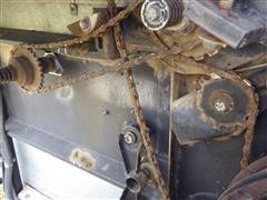 IMGP0699.JPG