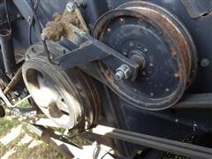 IMGP0721.JPG