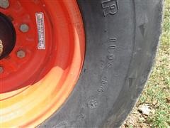 IMGP0755.JPG