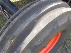 IMGP0757.JPG