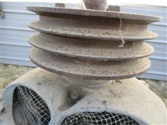 IMG_9849.JPG