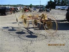 IMG_7282.JPG
