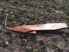 20180607_183343.jpg