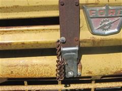 IMG_8243.JPG