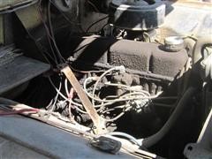 IMG_8221.JPG