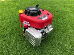 2010 Briggs & Stratton 219907 Gas Lawn Mower Engine 