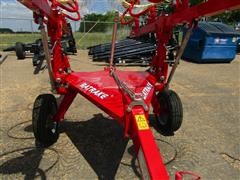 IMG_5449.JPG