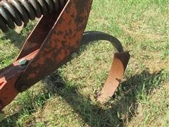 IMG_3501.JPG