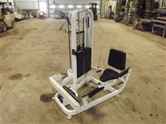 Cybex Rotary Calf Weight Machine 