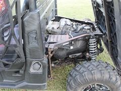 IMG_4446.JPG