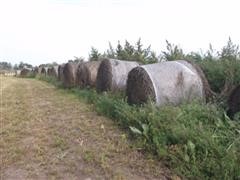 2017 Alfalfa Hay 