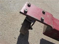 IMG_7931.JPG