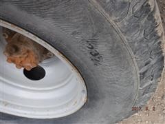 DSCF9655.JPG
