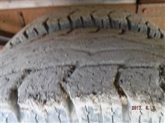 DSCF9659.JPG