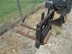 IMG_5380.JPG