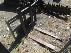 IMG_5382.JPG