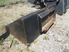 IMG_5385.JPG