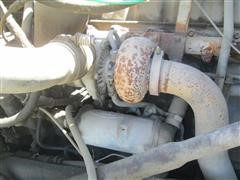 IMG_7292.JPG